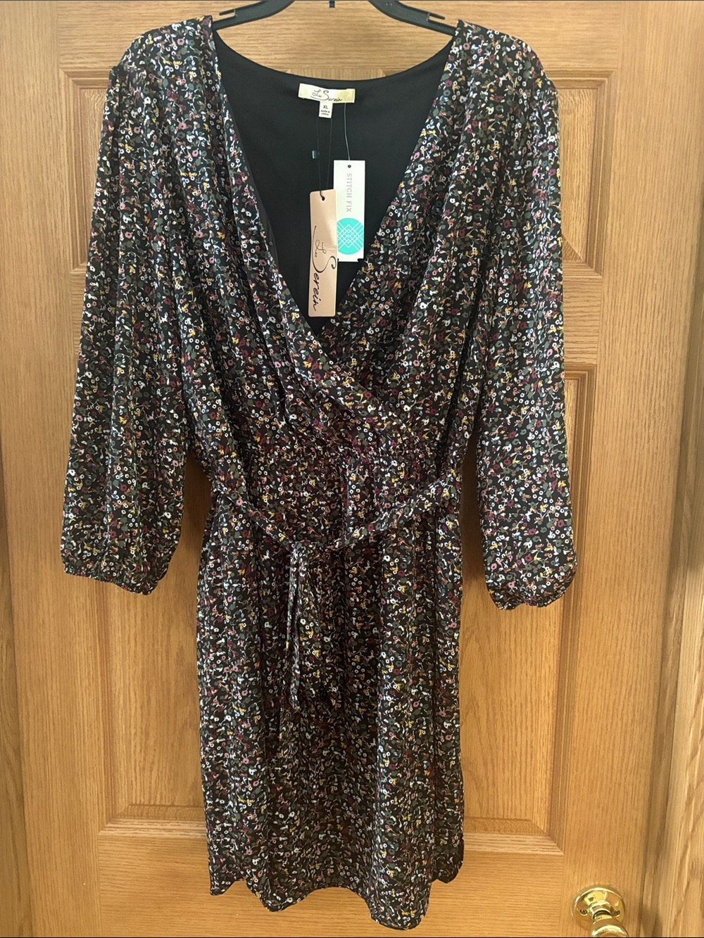 Les Serein Floral Mini Dress in Black and Multicolor